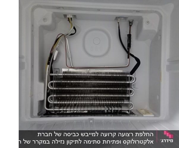 סליל קירור ומערכת חיווט במקפיא